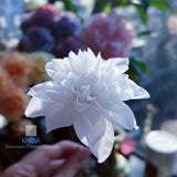 👑 KNDA蜜蠟花導師證書課程
