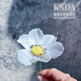 👑 KNDA蜜蠟花導師證書課程